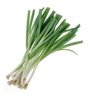 cebolla-larga-matundafruits