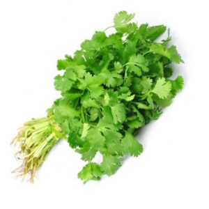 cilantro-matundafruits