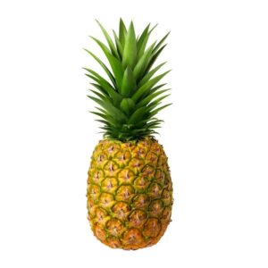 piña-matundafruits