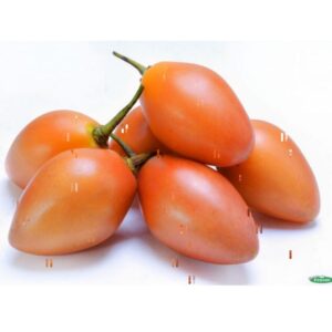 tomate-de-arbol-matundafruits