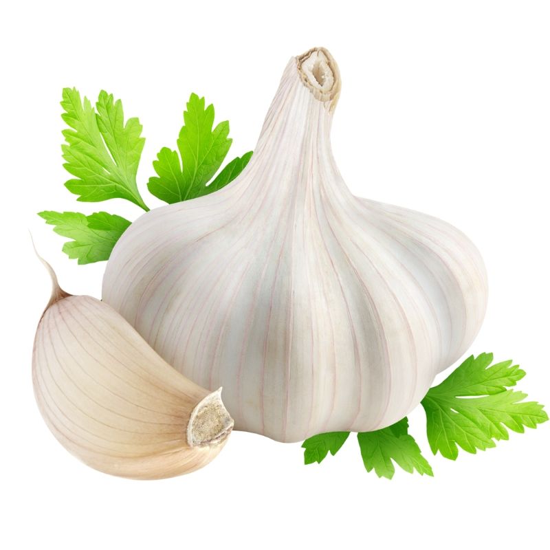 ajo-en-pepa-matundafruits